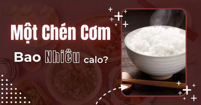 1 bát cơm bao nhiêu calo?