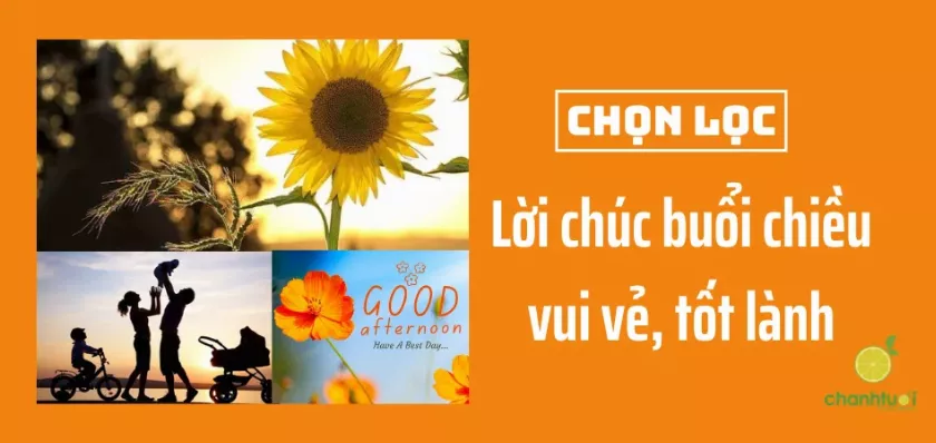 100+ Lời chúc buổi chiều vui vẻ, tốt lành, truyền năng lượng