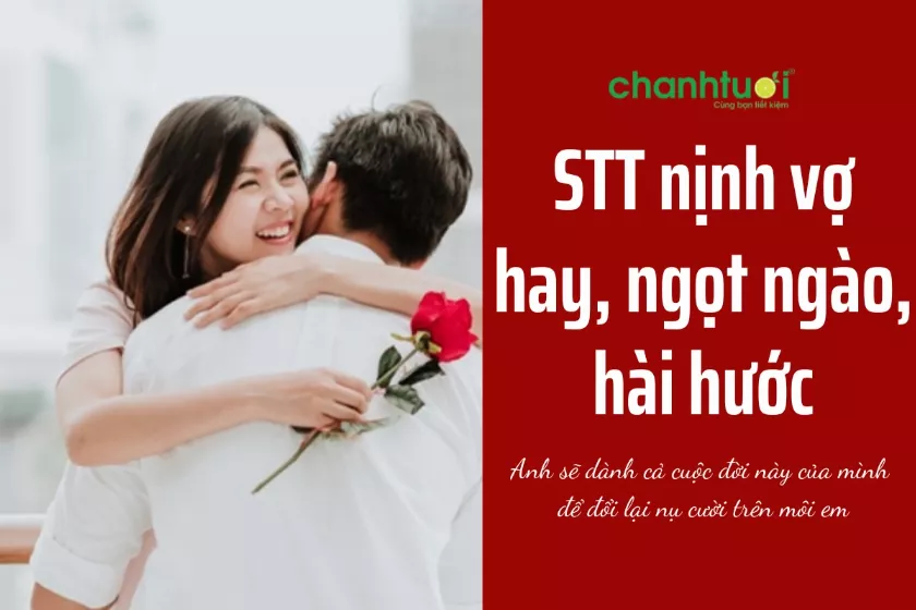 100+ Stt nịnh vợ ngắn gọn, hài hước, SIÊU NGỌT NGÀO