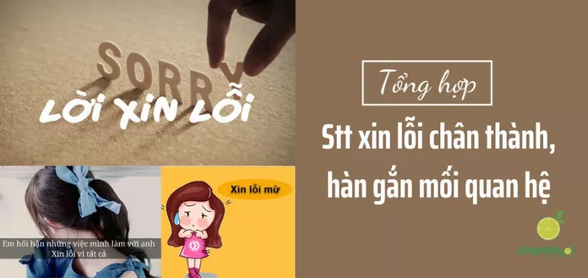 1001+ Stt xin lỗi chân thành nhất cho người yêu, bạn bè, bố mẹ