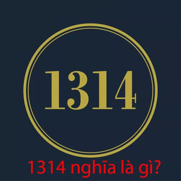 1314 là gì? Nguồn gốc của con số 1314? Ý nghĩa của chúng trong tình yêu