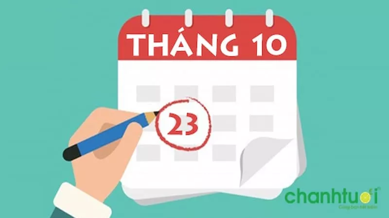 23/10 là ngày gì thuộc cung hoàng đạo gì?