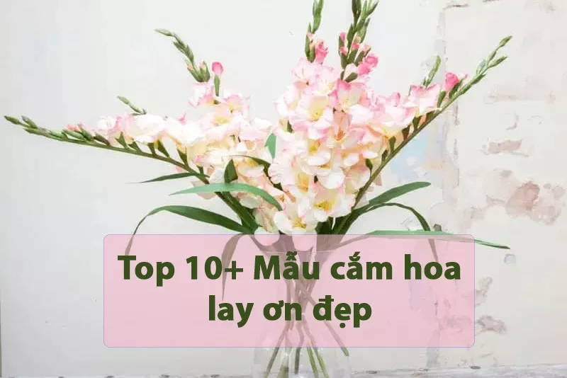 alt: Bình hoa lay ơn đỏ thắm