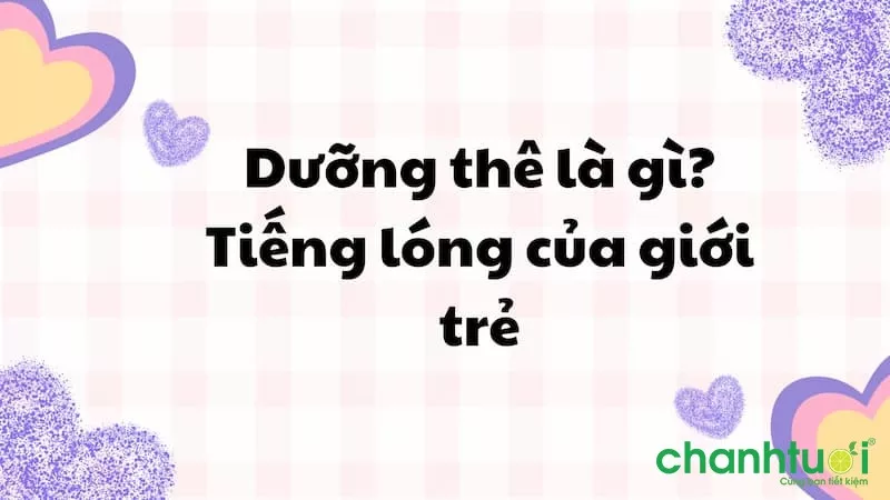 alt: Hình ảnh minh họa về khái niệm "dưỡng thê" - một chú mèo con đang làm hành động dễ thương