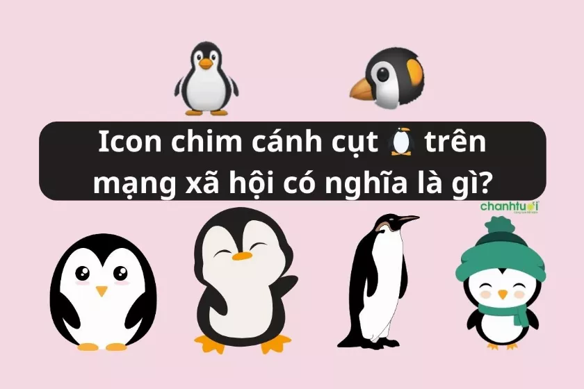 alt text: Biểu tượng cảm xúc chim cánh cụt trên nền xanh