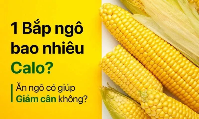 alt text: Hình ảnh bắp ngô tươi