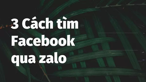 alt text: Hình ảnh minh họa 4 cách tìm Facebook qua Zalo