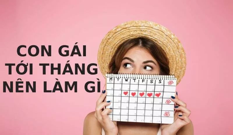 Alt text: Hình ảnh minh họa chu kỳ kinh nguyệt