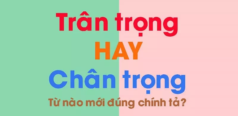 alt text: Hình ảnh minh họa về việc sử dụng từ trân trọng