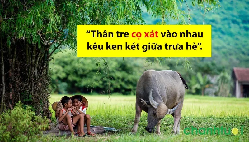 alt text: Hình ảnh minh họa ví dụ sử dụng từ "cọ xát"