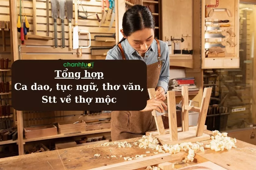 alt text: Hình ảnh người thợ mộc đang làm việc