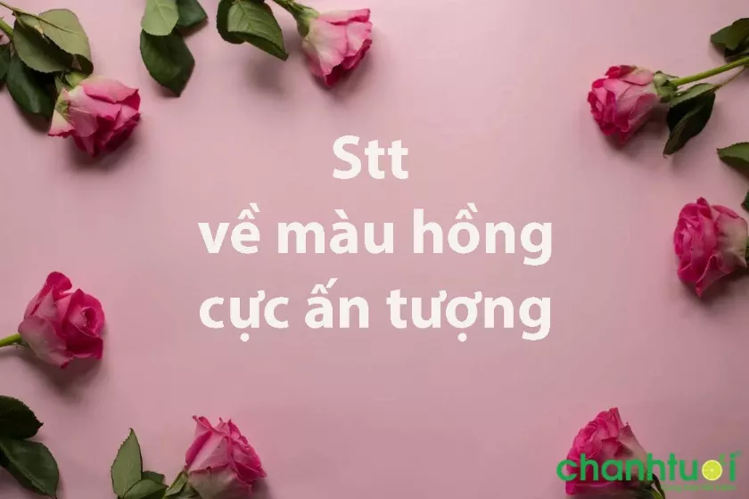 alt text: Hình ảnh nhiều vật dụng màu hồng