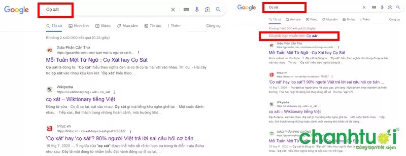 alt text: Hình ảnh tìm kiếm Google cho cụm từ "Cọ xát hay Cọ sát"