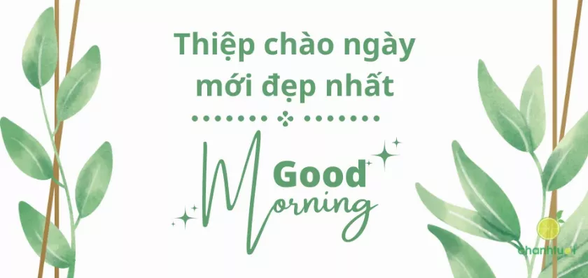 alt text: Hình ảnh tổng hợp nhiều mẫu thiệp chúc ngày mới với hoa, mặt trời và lời chúc