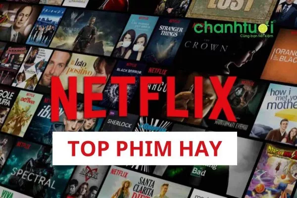 alt text: Hình ảnh tổng hợp về các bộ phim hay trên Netflix