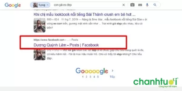 alt text: Kết quả tìm kiếm hình ảnh trên Google