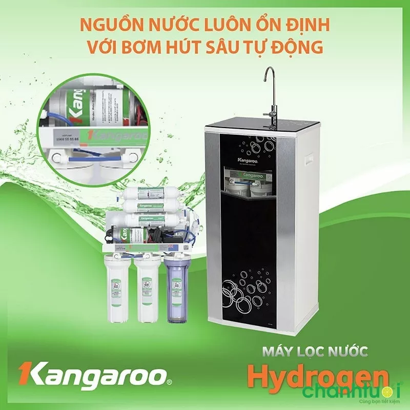 alt text: Linh kiện bên trong máy lọc nước Kangaroo