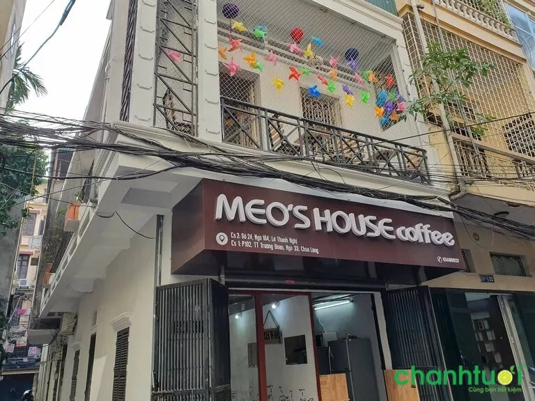 alt text: Mèo tại Meo's House Coffee đang nằm trên ghế