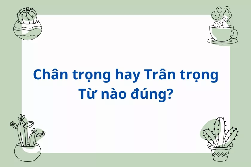 alt text: So sánh chân trọng và trân trọng