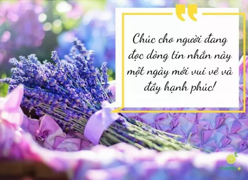 alt text: Thiệp chúc ngày mới với hình ảnh phong cảnh thiên nhiên và lời chúc một ngày mới tốt lành