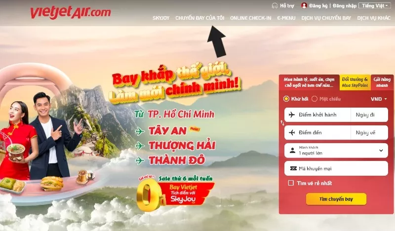 alt text: Tra cứu chuyến bay trên web