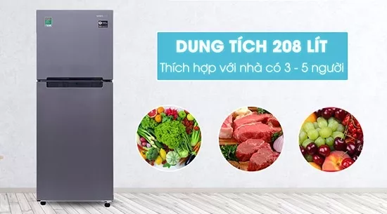 alt text: Tủ lạnh Samsung 208 lít RT19M300BGS/SV