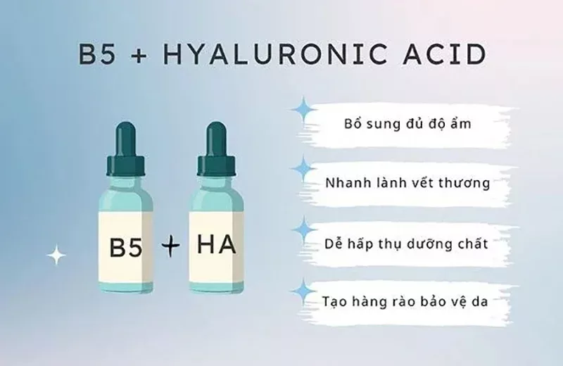 b5 kết hợp với gì 2