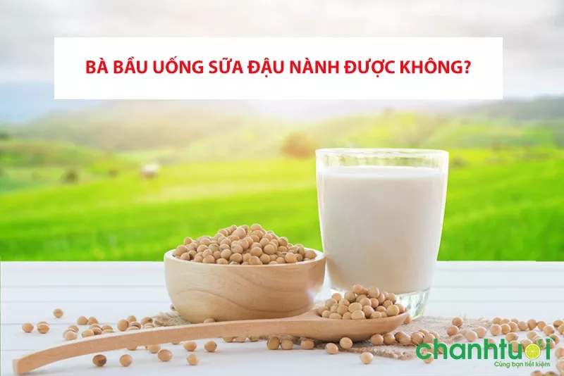 Bà bầu và sữa đậu nành