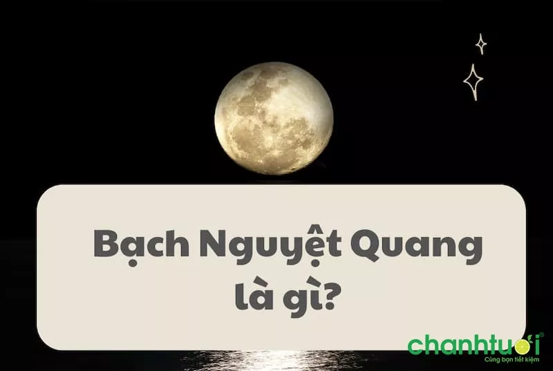 Bạch Nguyệt Quang là gì trong tình yêu? Nỗi khát vọng tình yêu