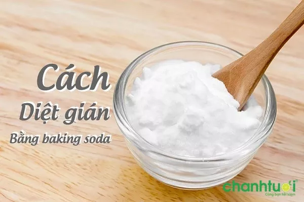 Baking Soda đuổi gián