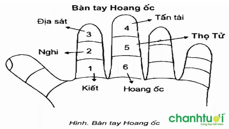 Bàn tay hoang ốc