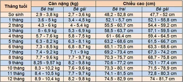 Bảng chiều cao cân nặng chuẩn của bé