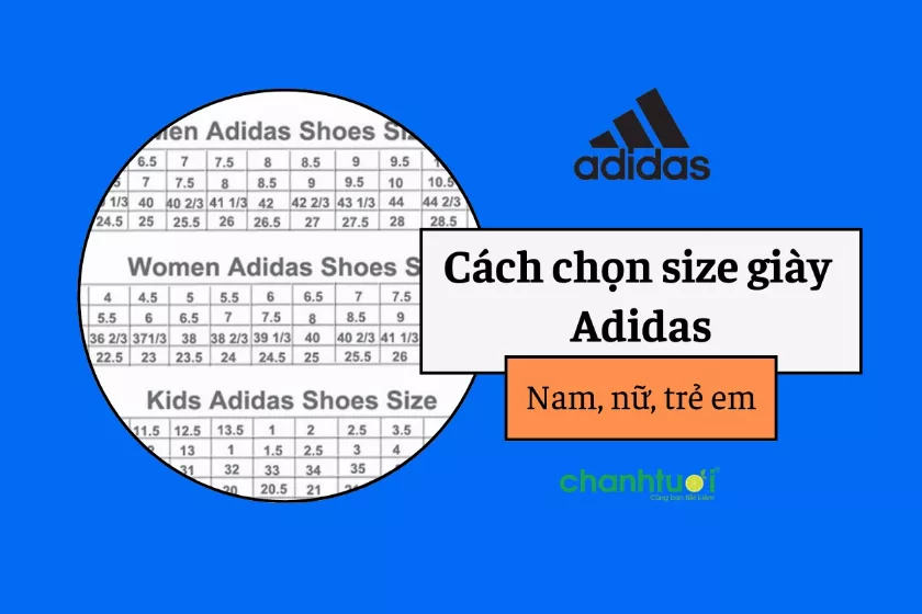 Bảng size giày Adidas nam, nữ và trẻ em chuẩn nhất