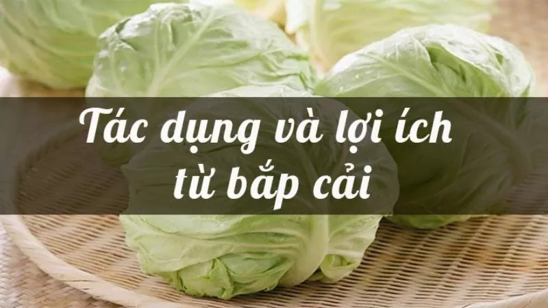 Bắp cải tốt cho sức khỏe