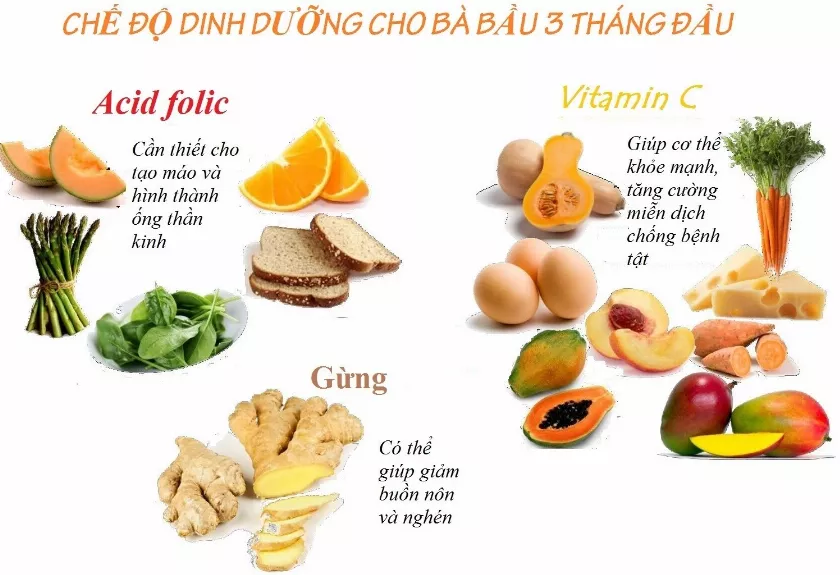 bầu 3 tháng đầu nên ăn gì