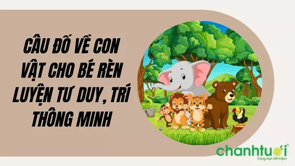 Bé chơi đố vui về động vật