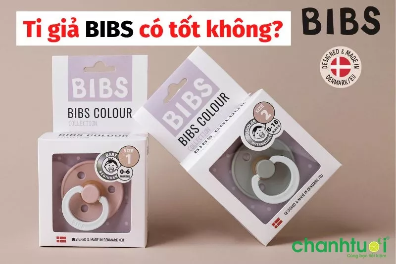 Bé ngậm ti giả BIBS