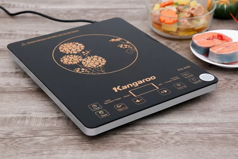 Bếp từ Kangaroo KG408i