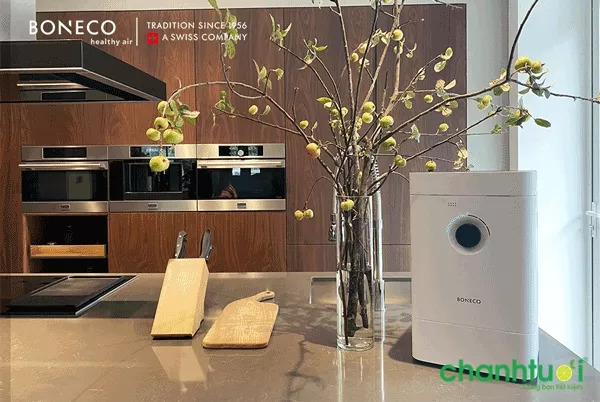 Boneco H300 - Công nghệ Thảm Bay Hơi