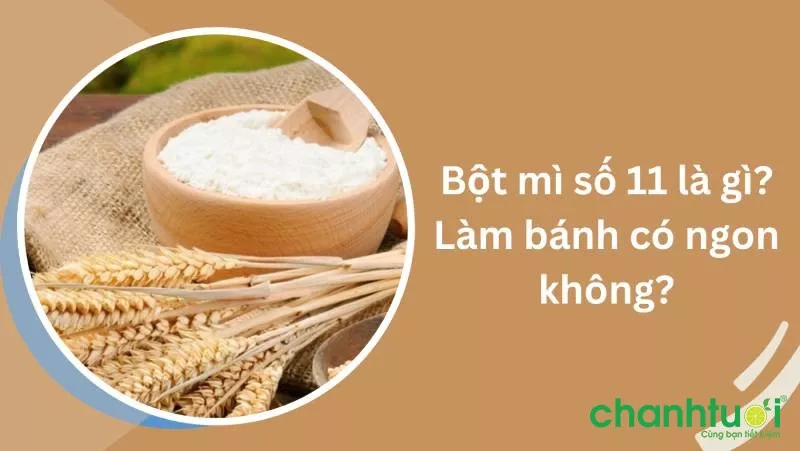 Bột mì số 11 là gì?