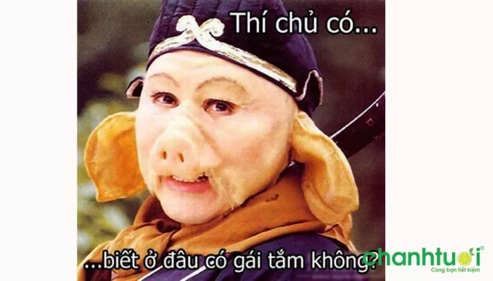 Bựa troll ảnh chế đường tăng!