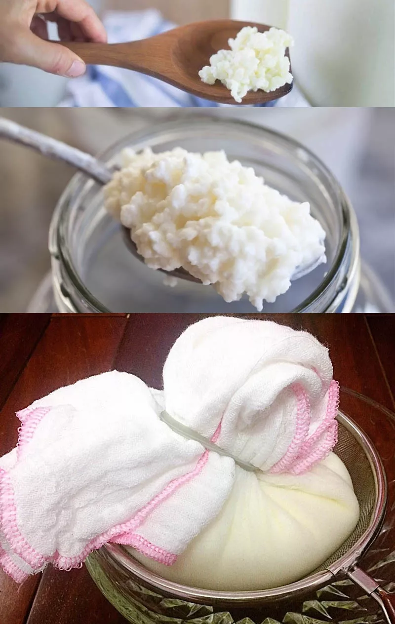 Các bước làm sữa chua Hy Lạp với nấm Kefir