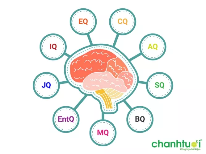 Các chỉ số khác