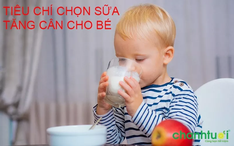 Các loại sữa cao năng lượng