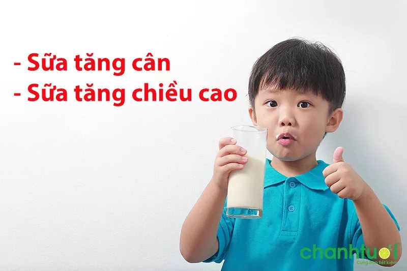 Các loại sữa cho bé