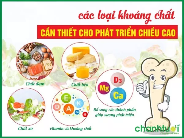 Các loại sữa cho bé