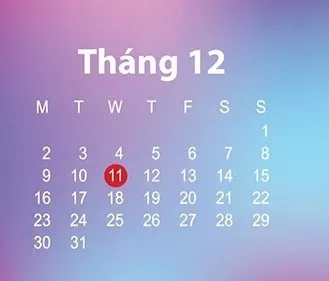 Các ngày lễ trong tháng 12 ở Việt Nam và trên thế giới có thể bạn chưa biết.
