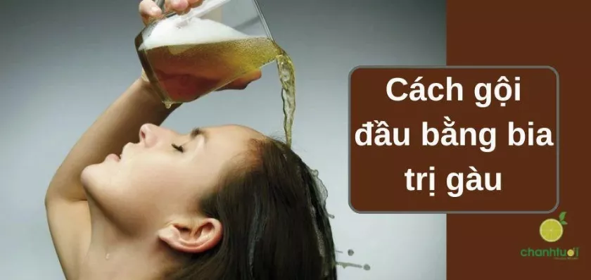 Cách gội đầu bằng bia trị gàu