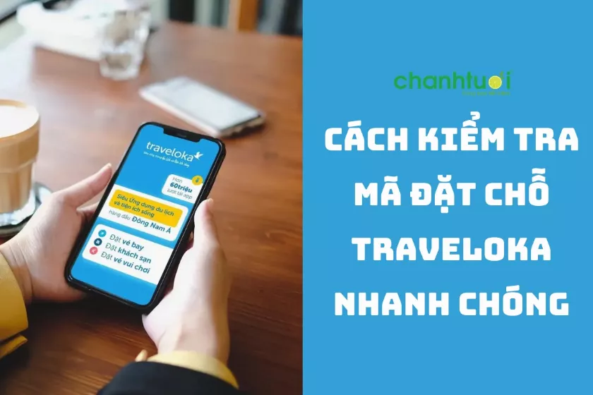 Cách kiểm tra mã đặt chỗ Traveloka cực kỳ đơn giản