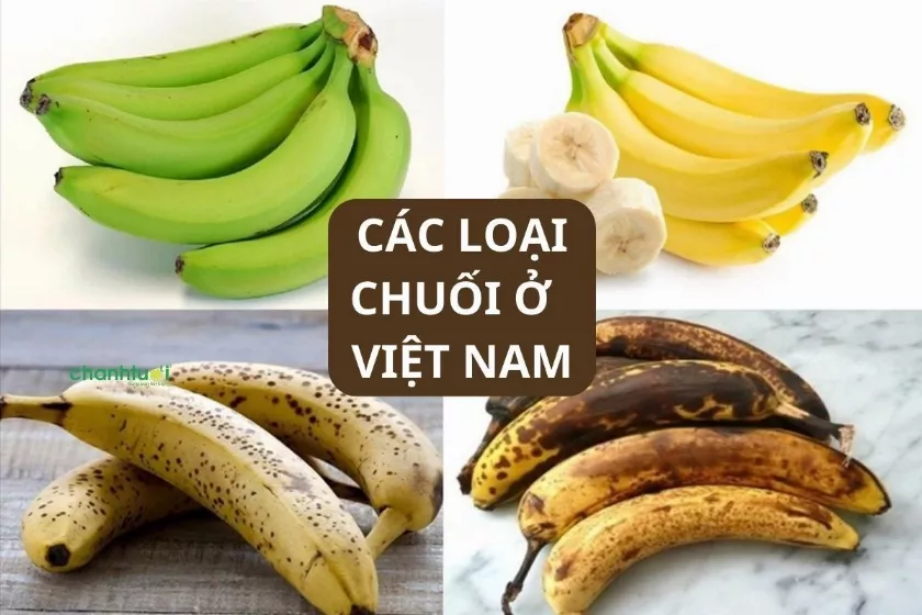 Cách phân biệt các loại chuối ở Việt Nam: chuối tây, sứ, ngự, tiêu...